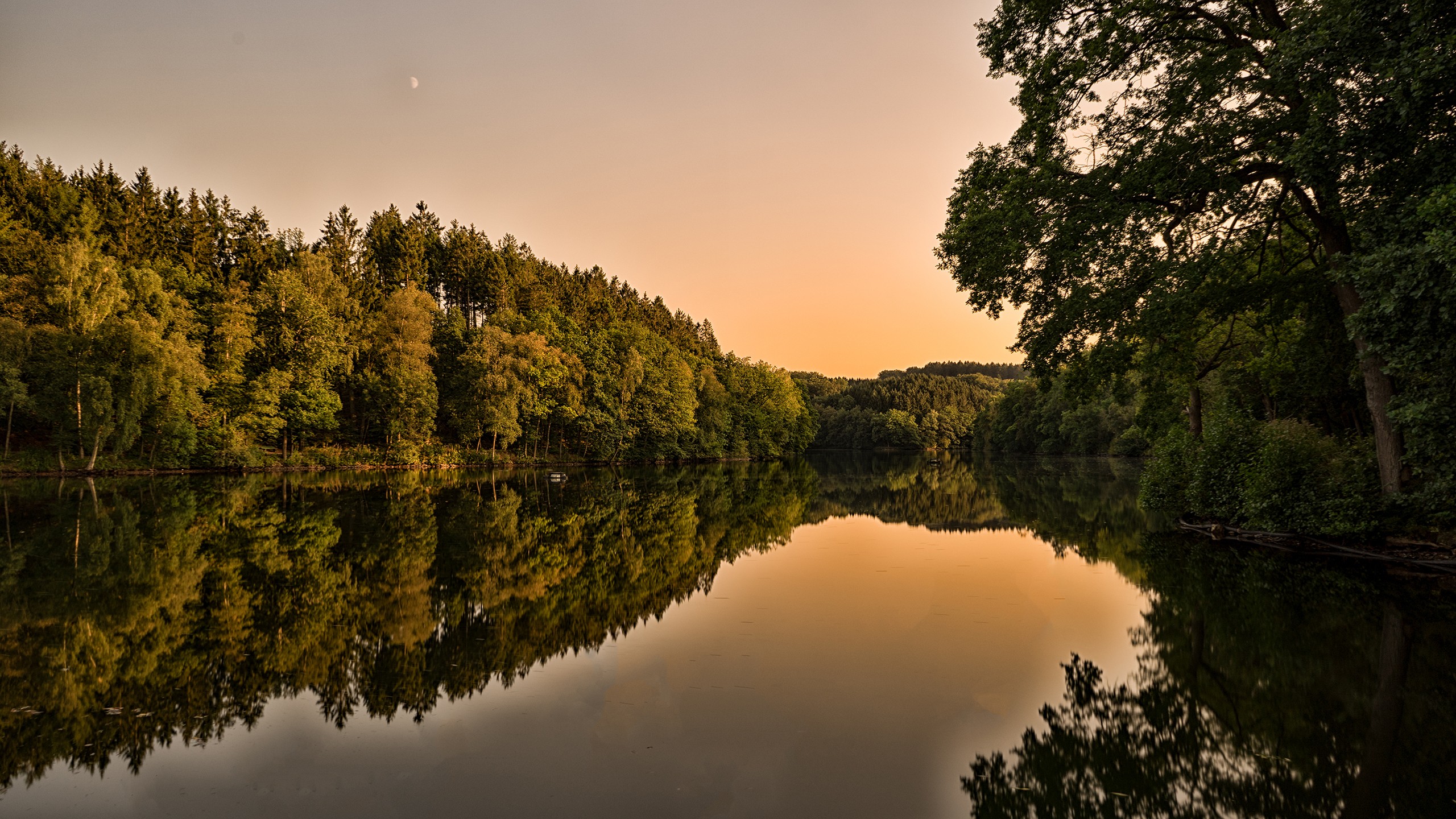 Green Trees Beside Lake During Daytime. Wallpaper in 2560x1440 Resolution