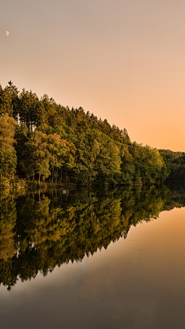 Tagsüber Grüne Bäume am See. Wallpaper in 750x1334 Resolution
