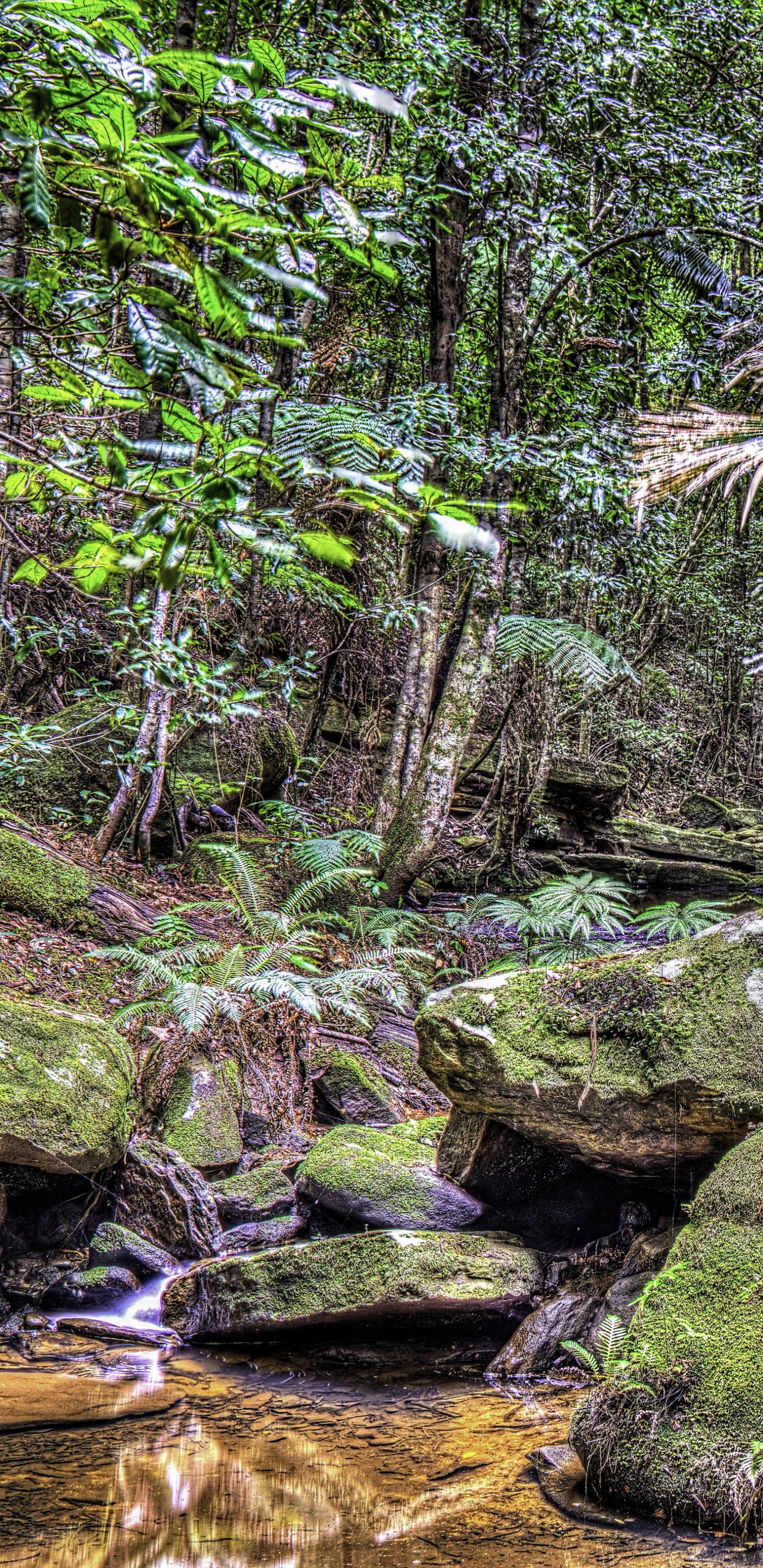 Musgo Verde Sobre Roca Marrón Cerca Del Río. Wallpaper in 1440x2960 Resolution