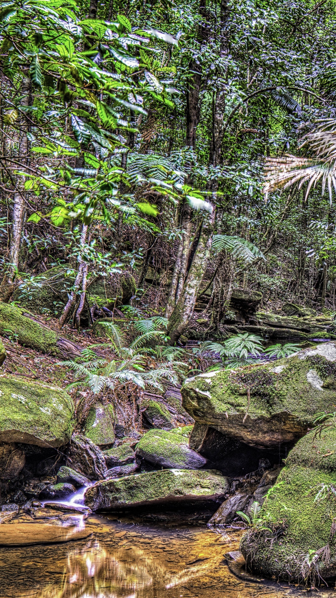 Grünes Moos Auf Braunem Felsen in Der Nähe Des Flusses. Wallpaper in 1080x1920 Resolution