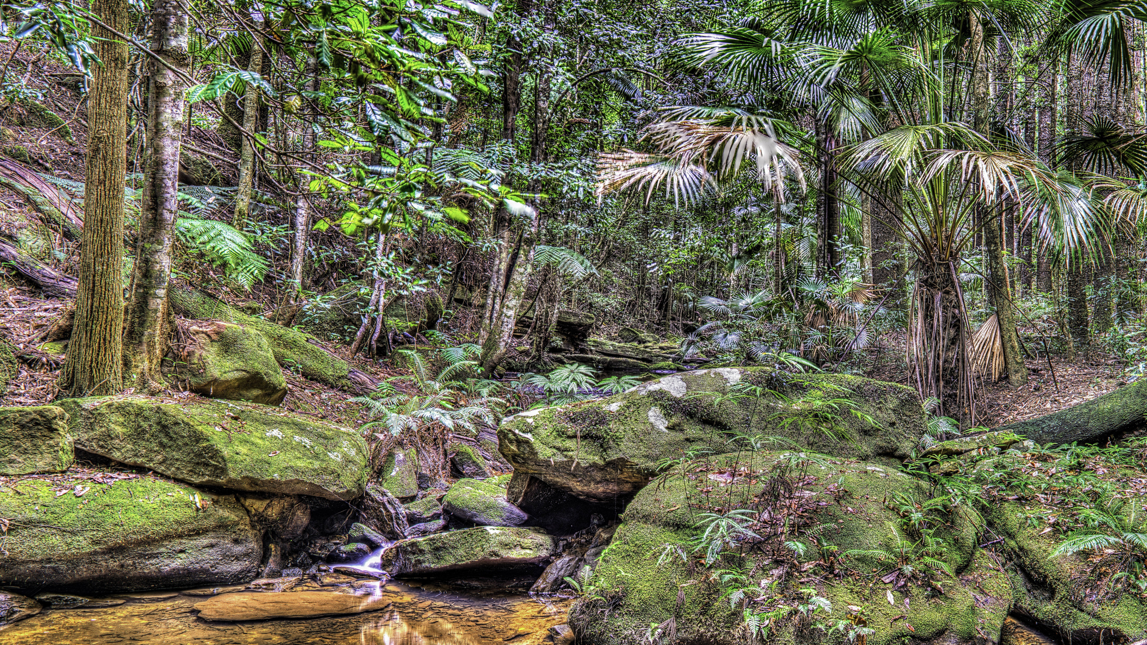 Grünes Moos Auf Braunem Felsen in Der Nähe Des Flusses. Wallpaper in 3840x2160 Resolution