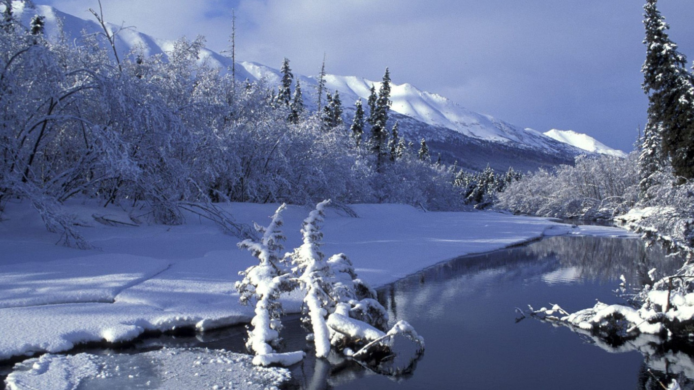 Arbres Couverts de Neige Sur un Sol Couvert de Neige Pendant la Journée. Wallpaper in 1366x768 Resolution