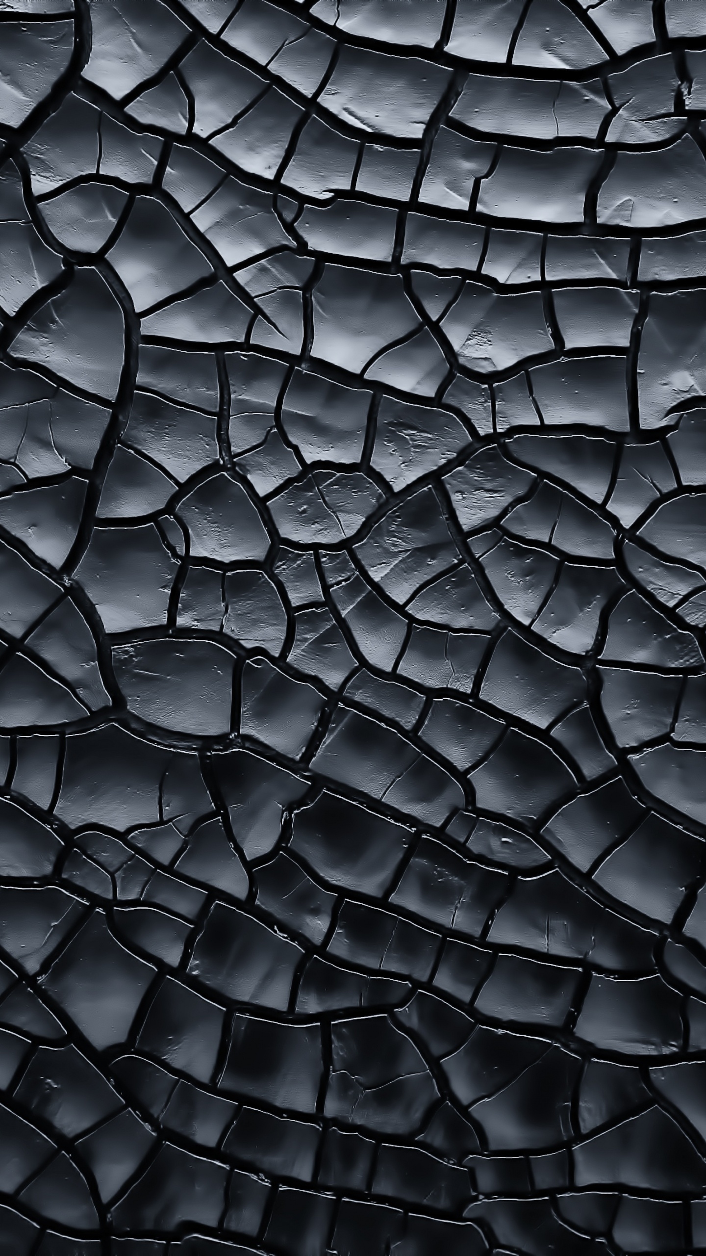 Abstrakte Schwarz-Weiß-Malerei. Wallpaper in 1440x2560 Resolution