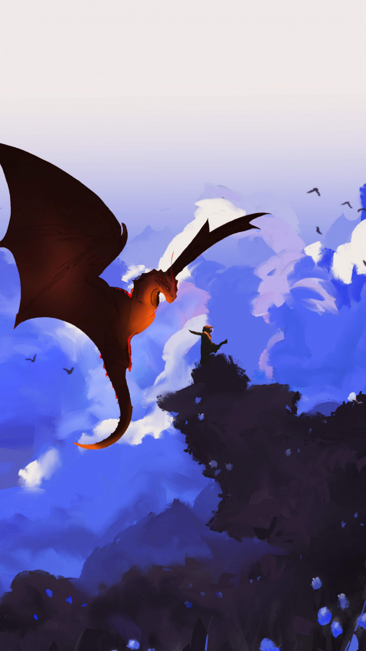 Apprendre en Solo, Oiseau, Aile, Art, D'oiseaux de Mer. Wallpaper in 750x1334 Resolution