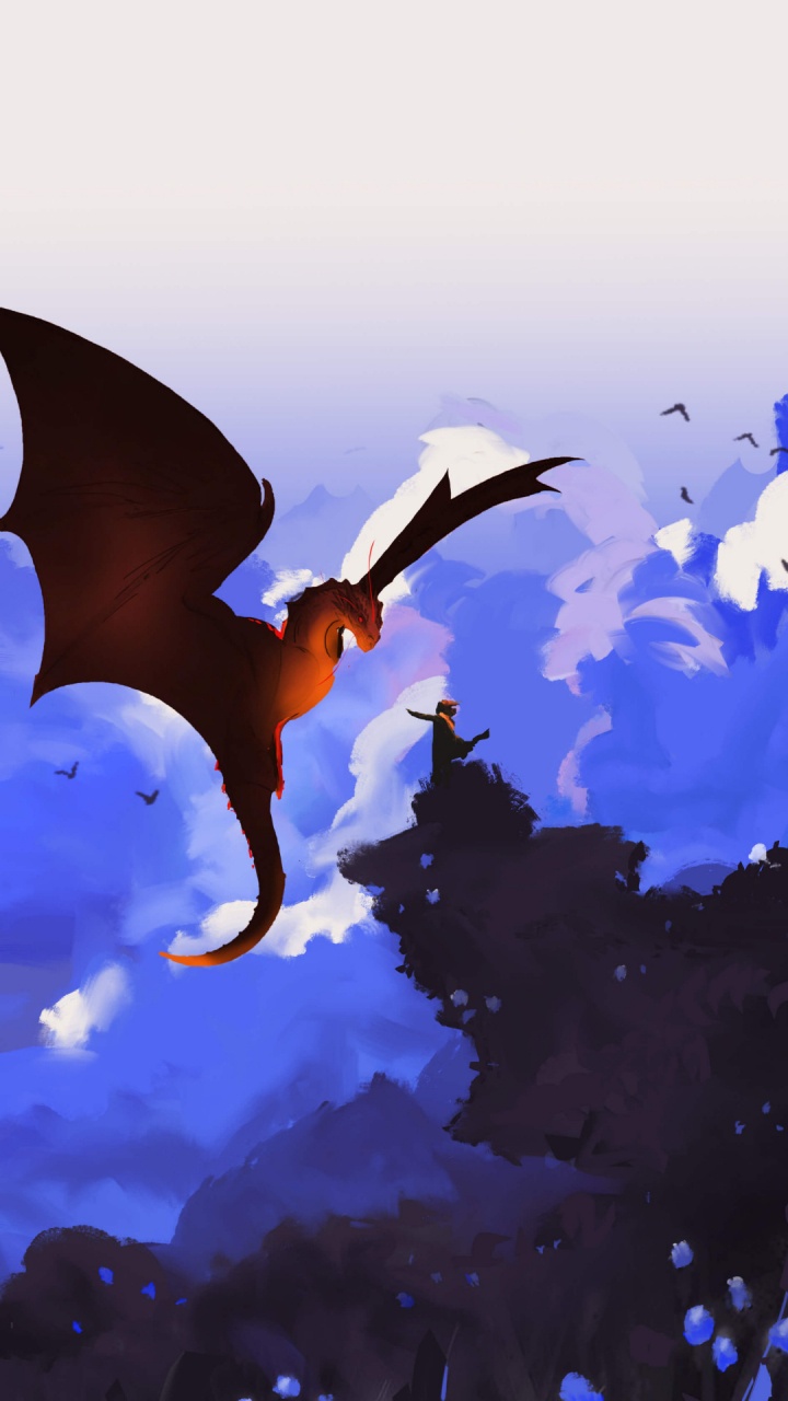 Sololearn, Bird, Wing, Art, Seabird. Wallpaper in 720x1280 Resolution