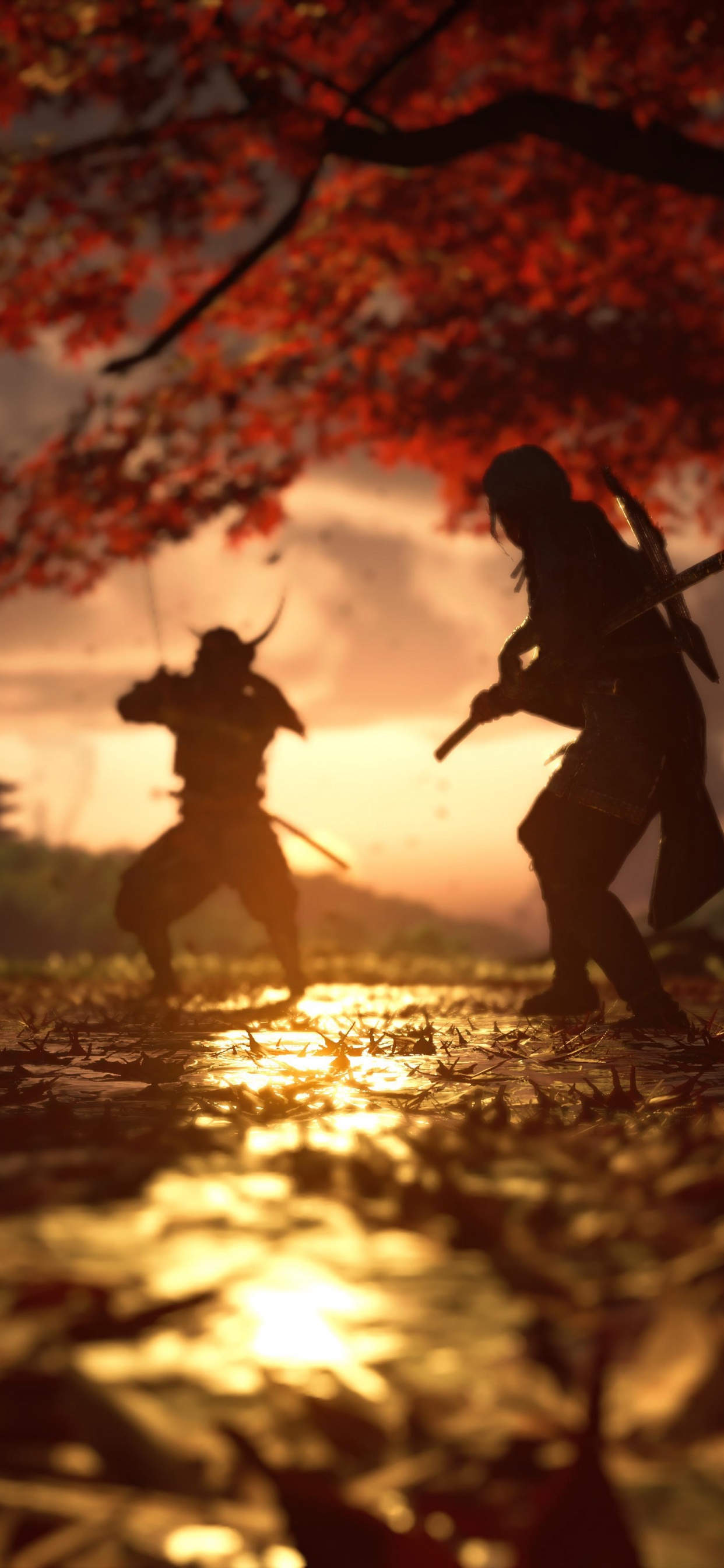 Leaf, Ghost of Tsushima, People in Nature, Water, Plant. Wallpaper in 1242x2688 Resolution