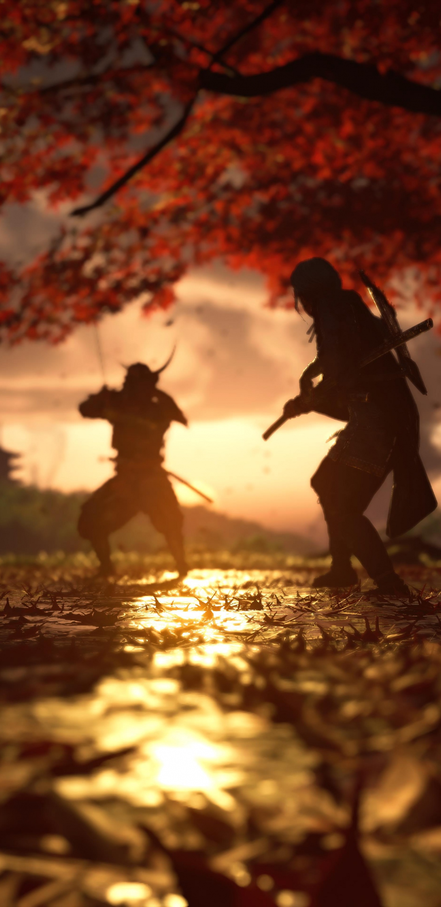 Leaf, Ghost of Tsushima, People in Nature, Water, Plant. Wallpaper in 1440x2960 Resolution