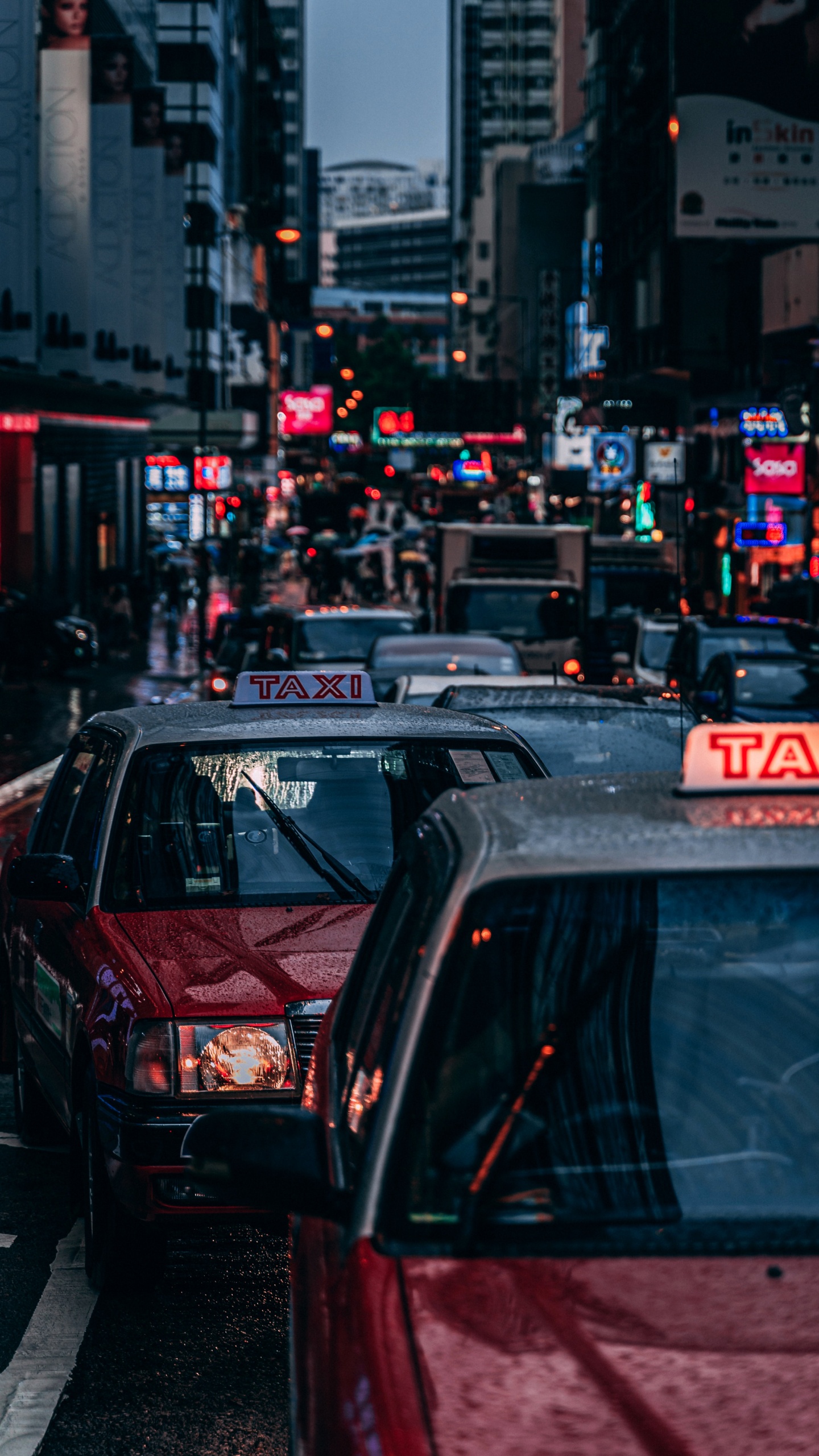 Car, Luxusauto, Fahrrad, Automotive Lighting, Kapuze. Wallpaper in 1440x2560 Resolution