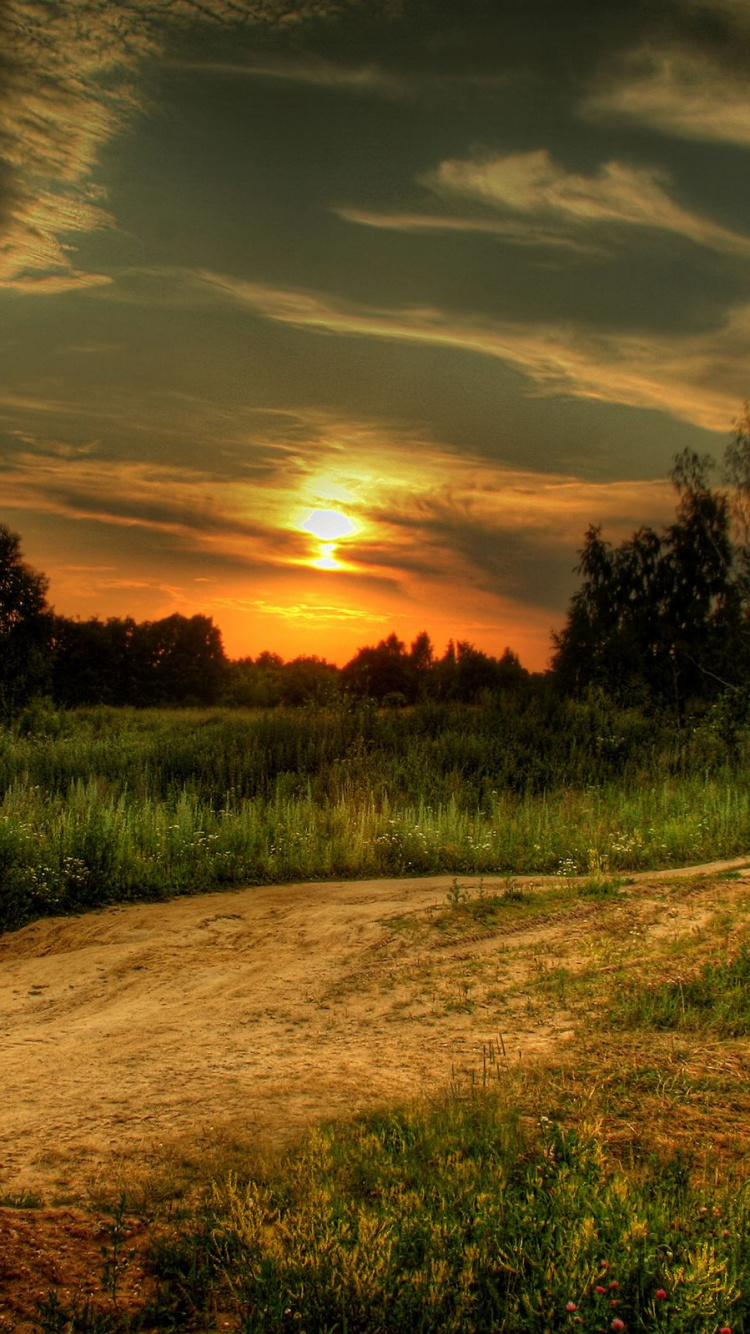 Grüne Wiese Bei Sonnenuntergang. Wallpaper in 750x1334 Resolution