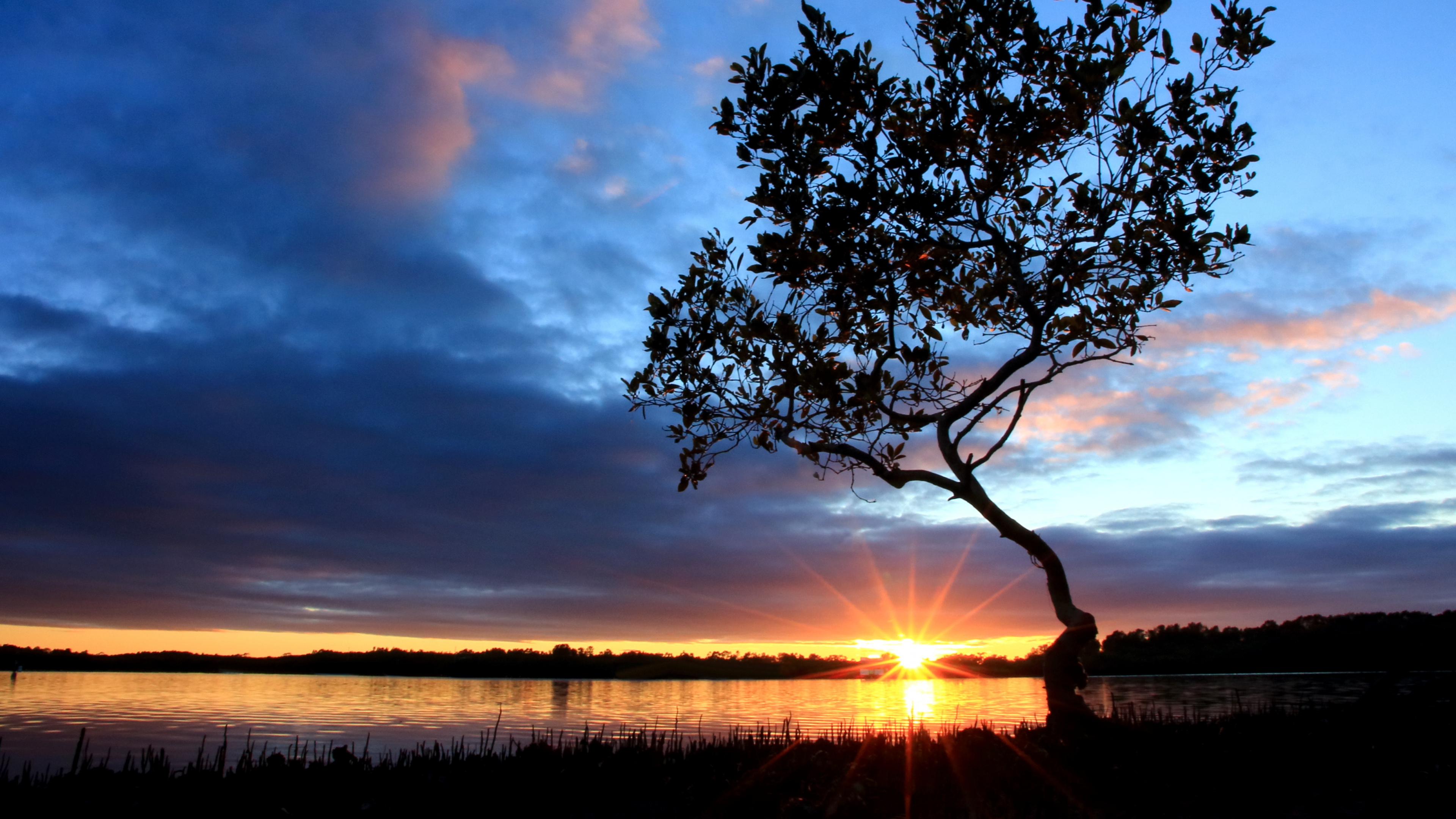 Silhouette D'arbre Pendant le Coucher du Soleil. Wallpaper in 3840x2160 Resolution