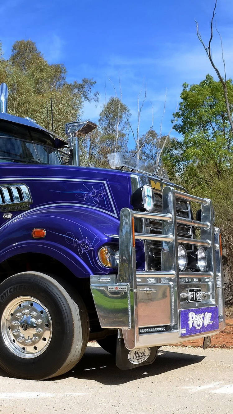 Camion Bleu et Blanc Sur Route Pendant la Journée. Wallpaper in 750x1334 Resolution