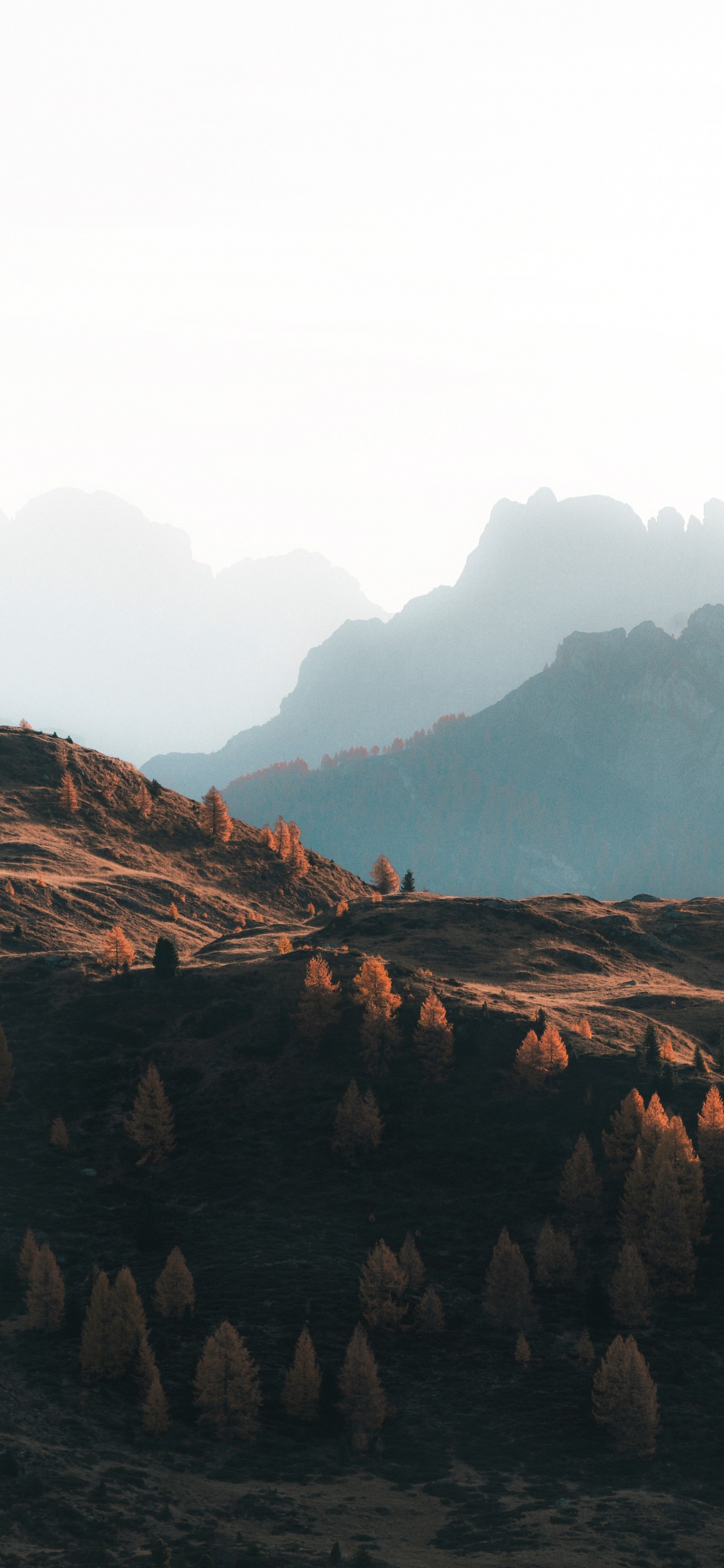 Ökoregion, Cloud, Blatt, Piste, Naturlandschaft. Wallpaper in 1125x2436 Resolution