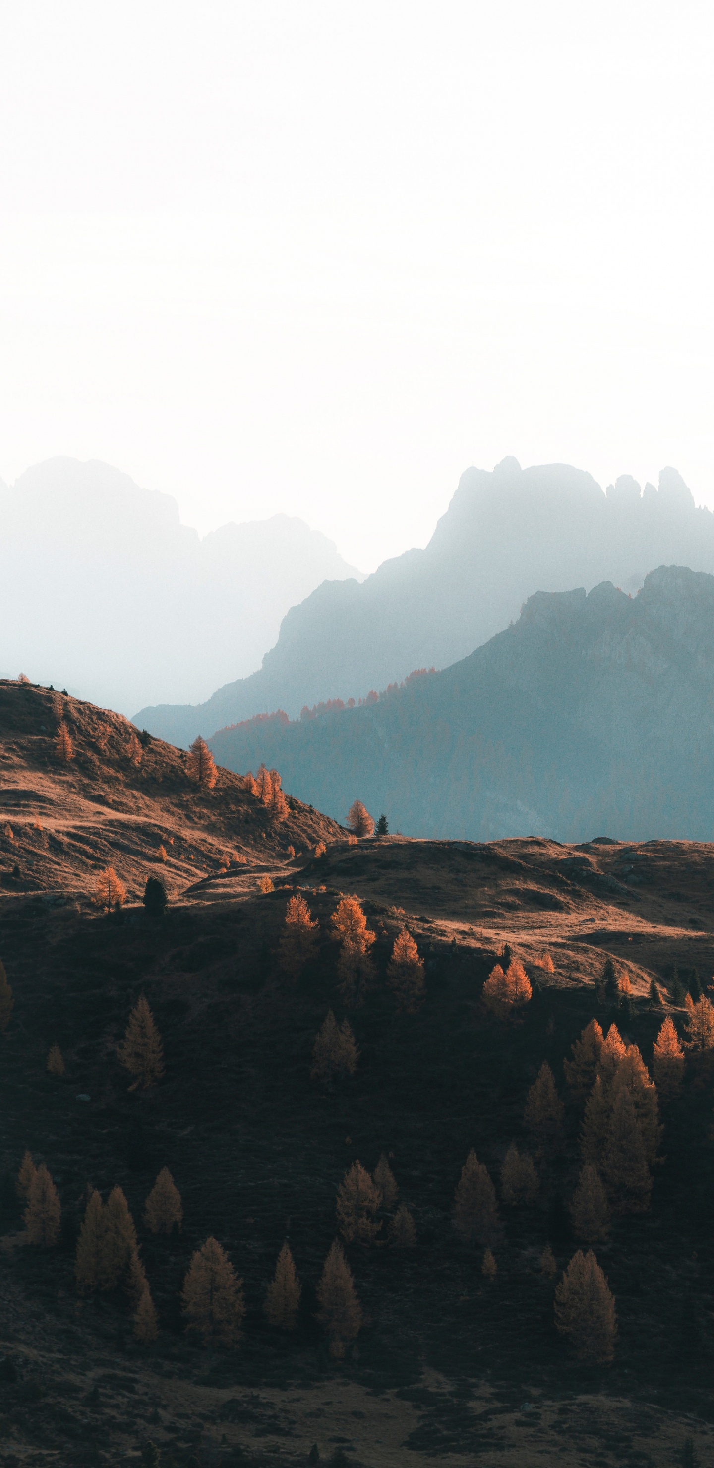 Ökoregion, Cloud, Blatt, Piste, Naturlandschaft. Wallpaper in 1440x2960 Resolution