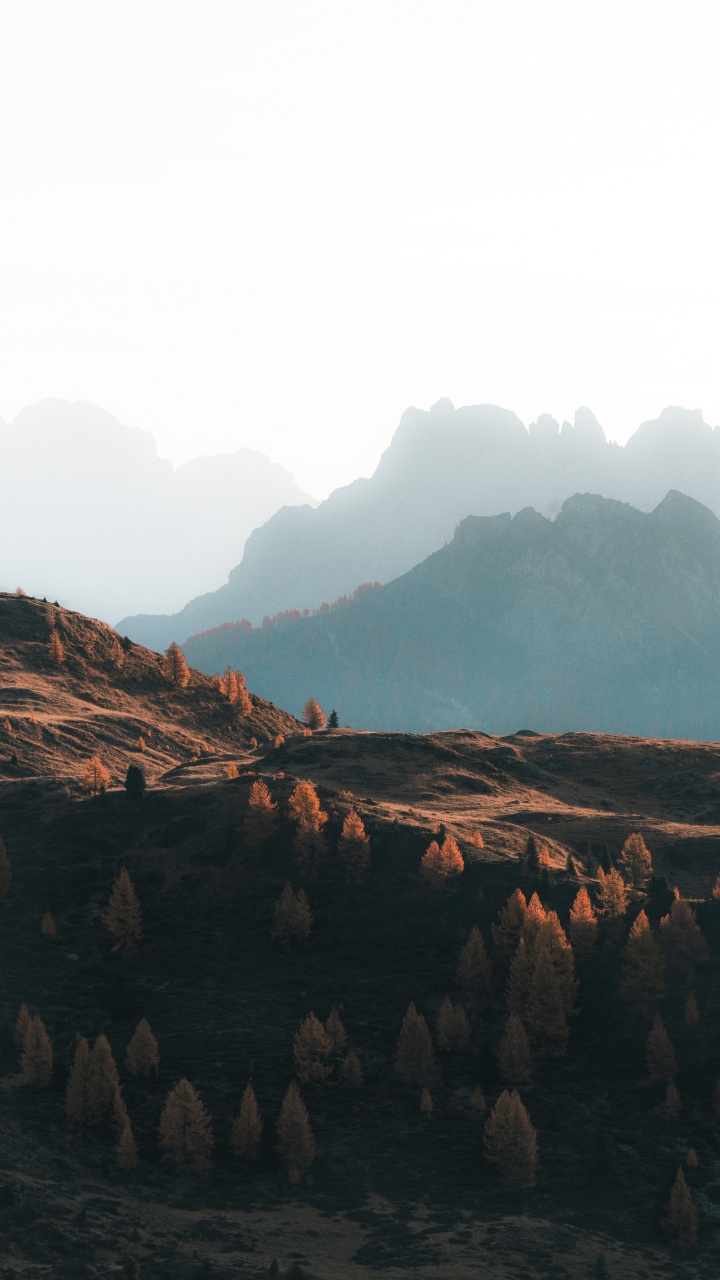 Ökoregion, Cloud, Blatt, Piste, Naturlandschaft. Wallpaper in 720x1280 Resolution