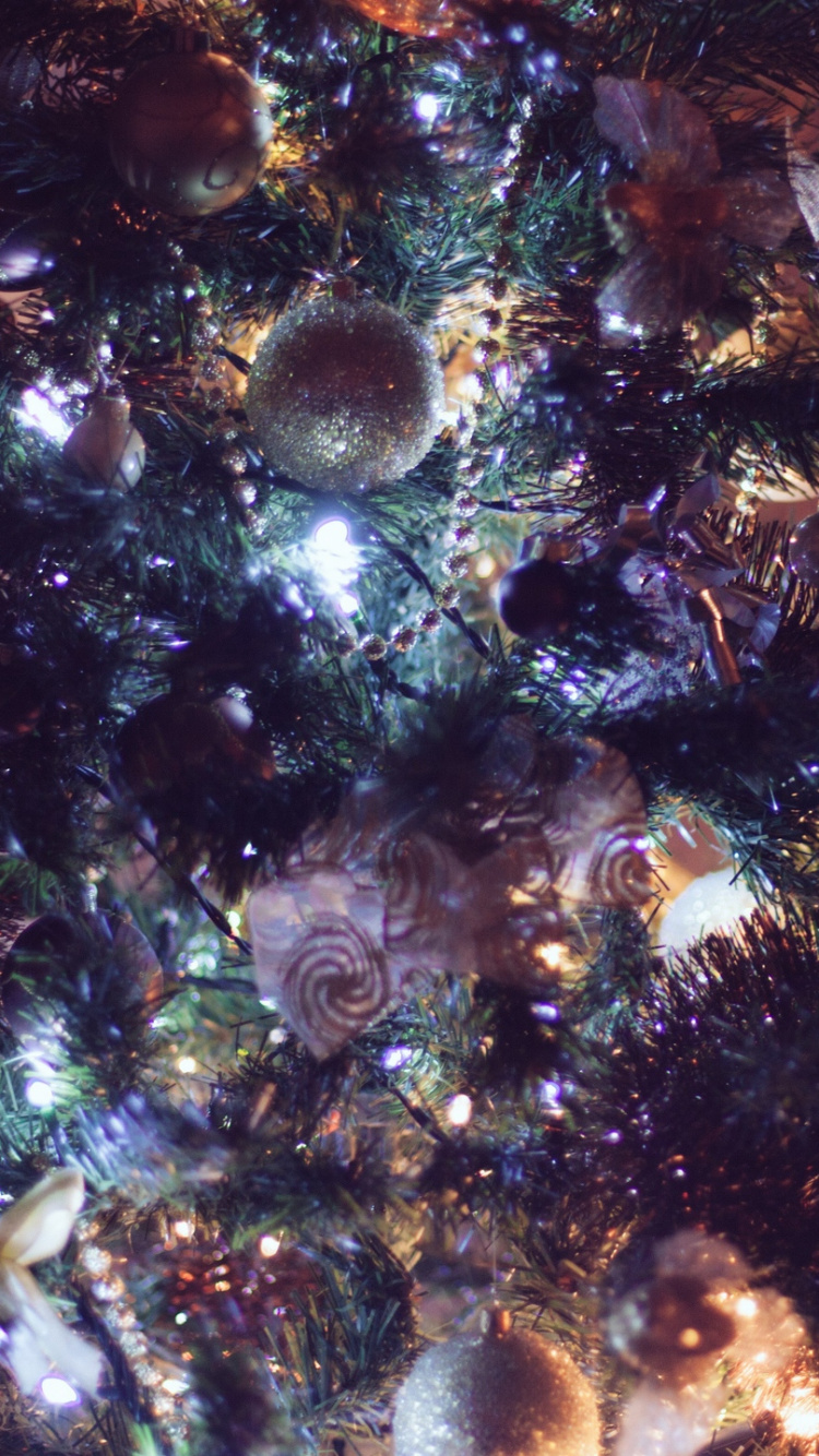 Christmas Day, Christmas Tree, Tree, Christmas, Christmas Decoration. Wallpaper in 750x1334 Resolution