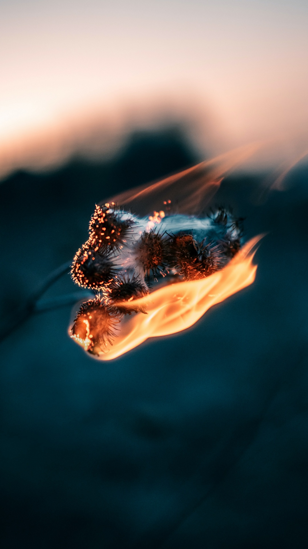 首歌, 苹果音乐, 液体, 电蓝色的, 热 壁纸 1080x1920 允许