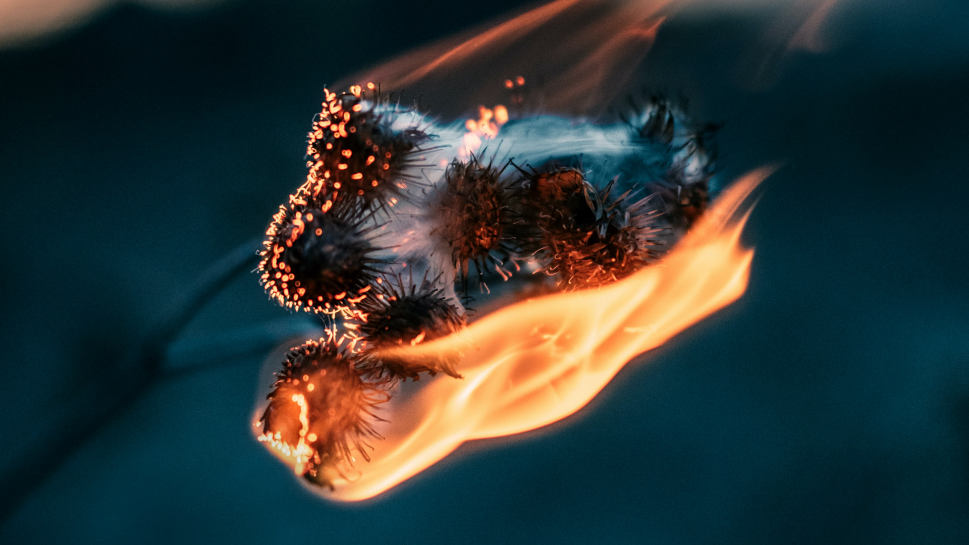 首歌, 苹果音乐, 液体, 电蓝色的, 热 壁纸 1920x1080 允许