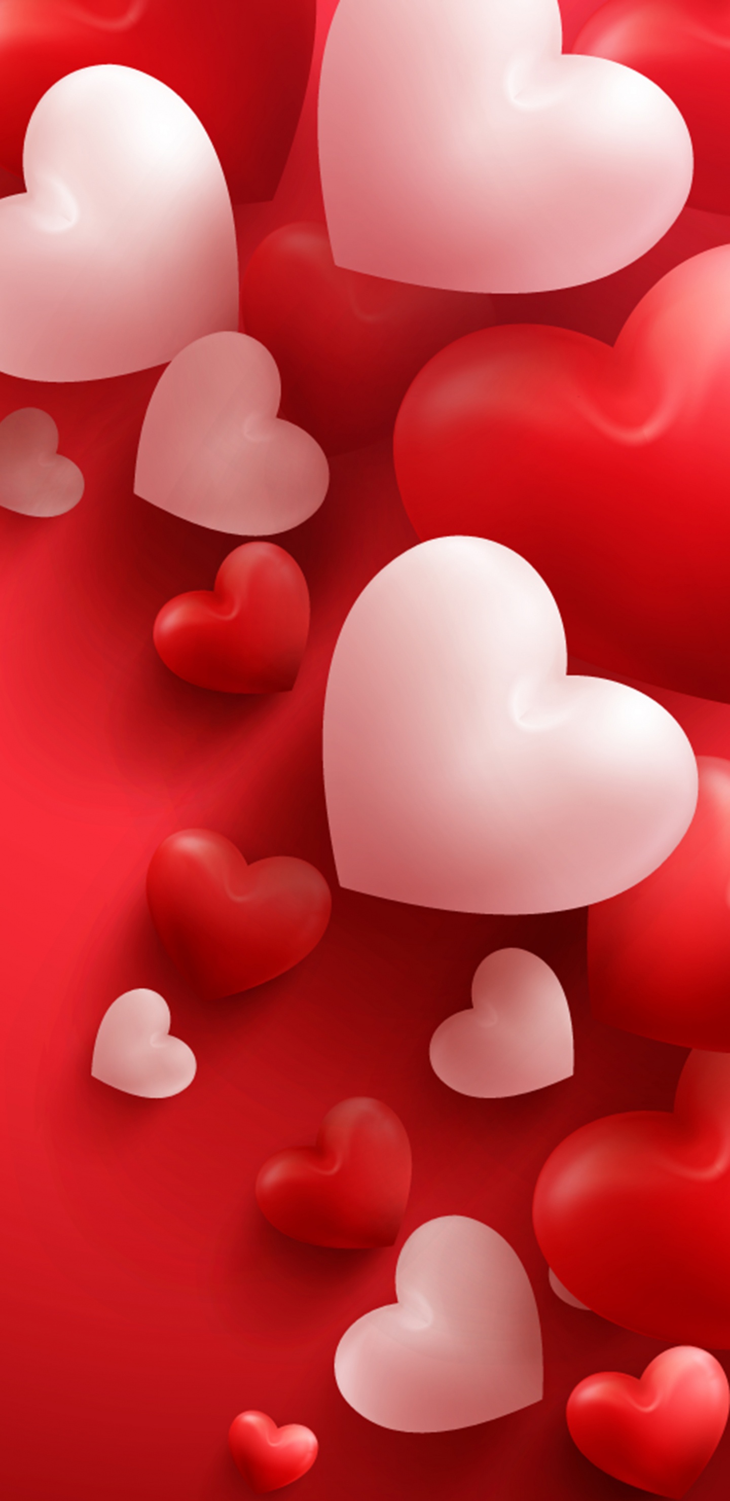 Coraz, el Día de San Valentín, Rojo, Amor, Ilustración. Wallpaper in 1440x2960 Resolution