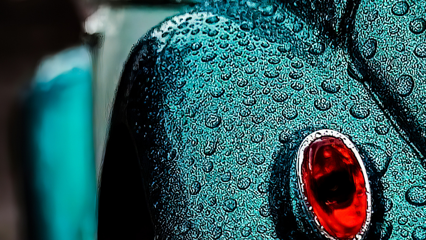 Volkswagen Beetle, Volkswagen, Voiture de Luxe, Voiture Classique, Chevrolet Corvette. Wallpaper in 1366x768 Resolution