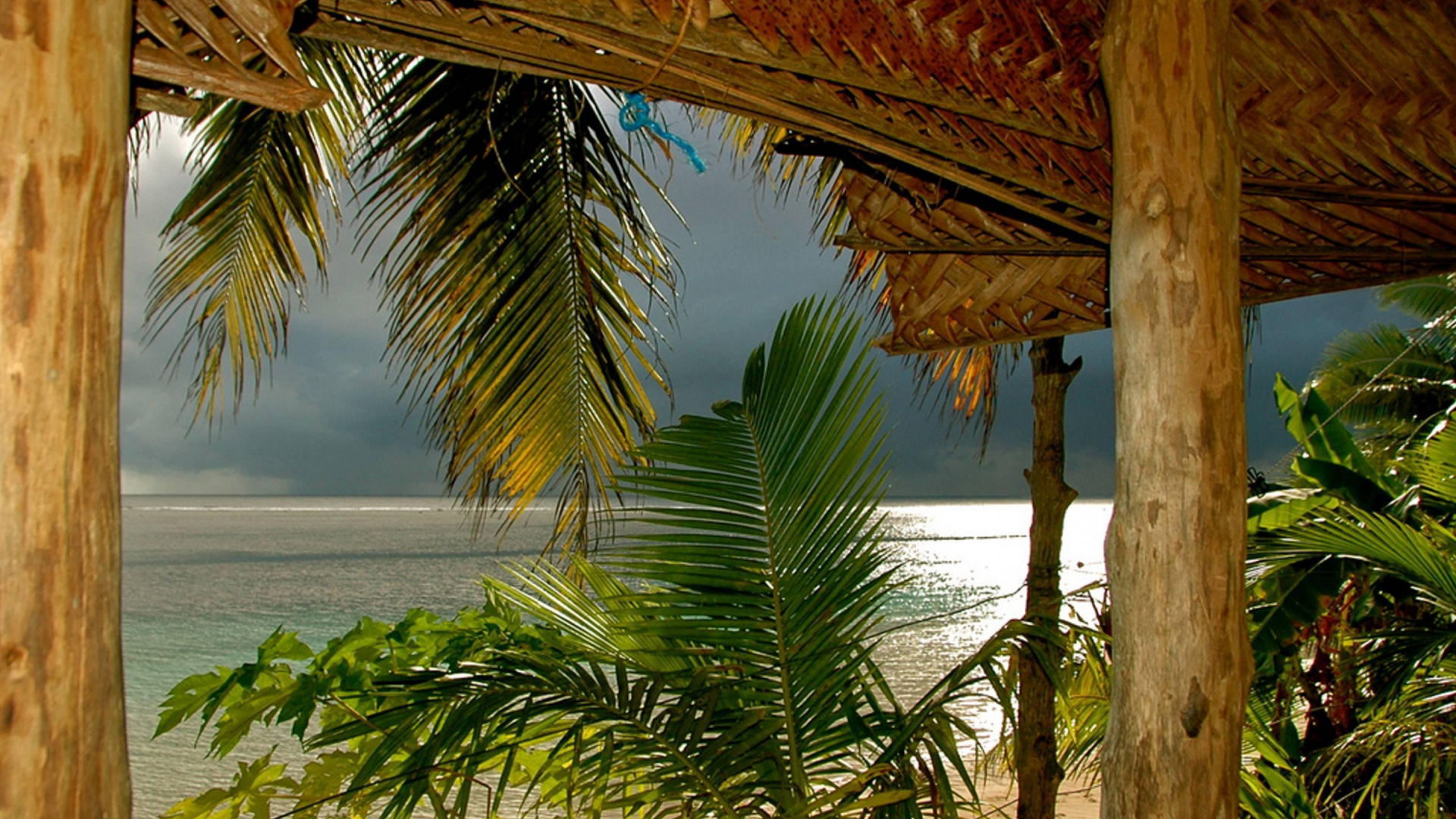 Palm Tree Near Body of Water During Daytime. Wallpaper in 1920x1080 Resolution