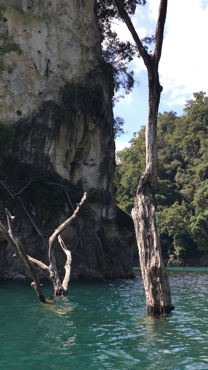 Nature Reserve, Natural Landscape, Rock, Terrain, Bedrock. Wallpaper in 720x1280 Resolution