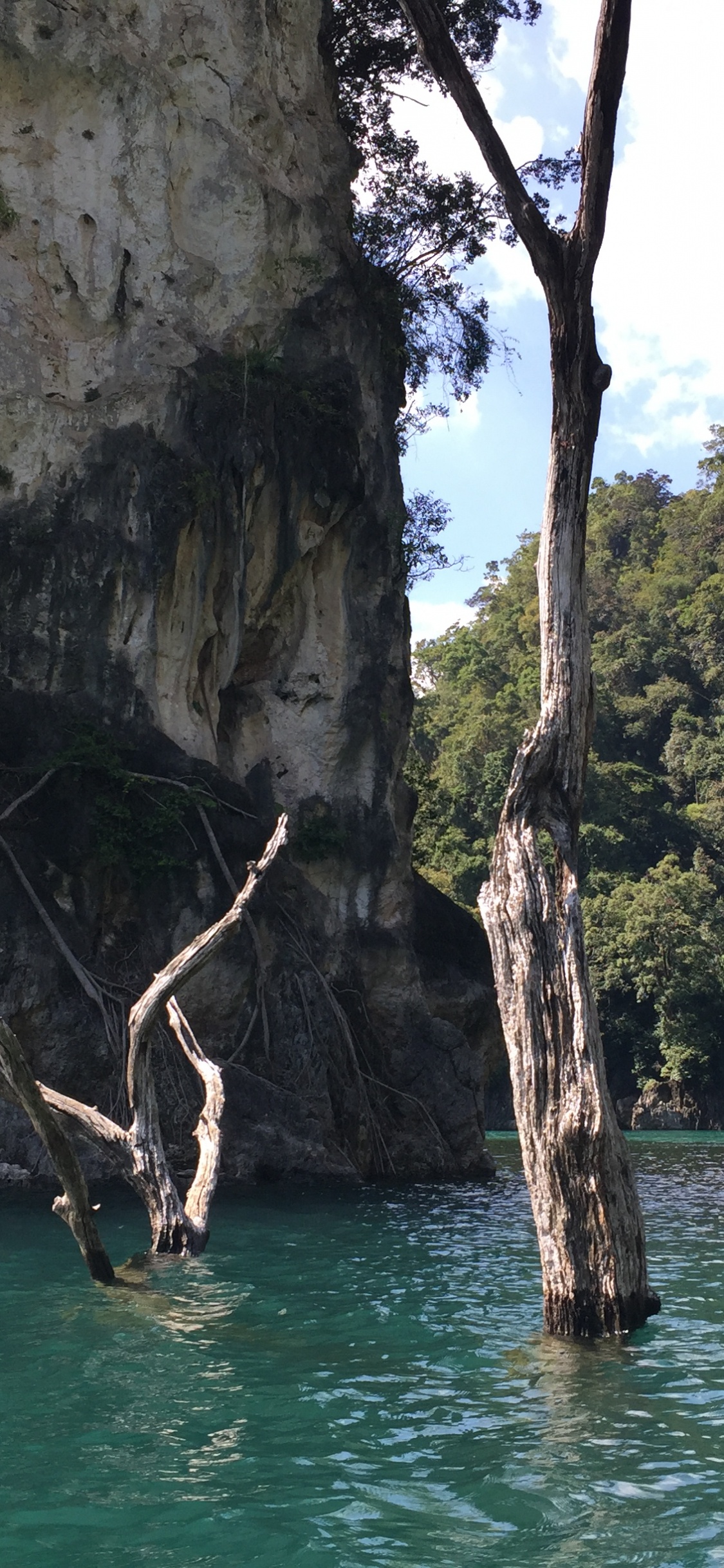 自然保护区, 自然景观, 地形, 水道, 形成 壁纸 1125x2436 允许