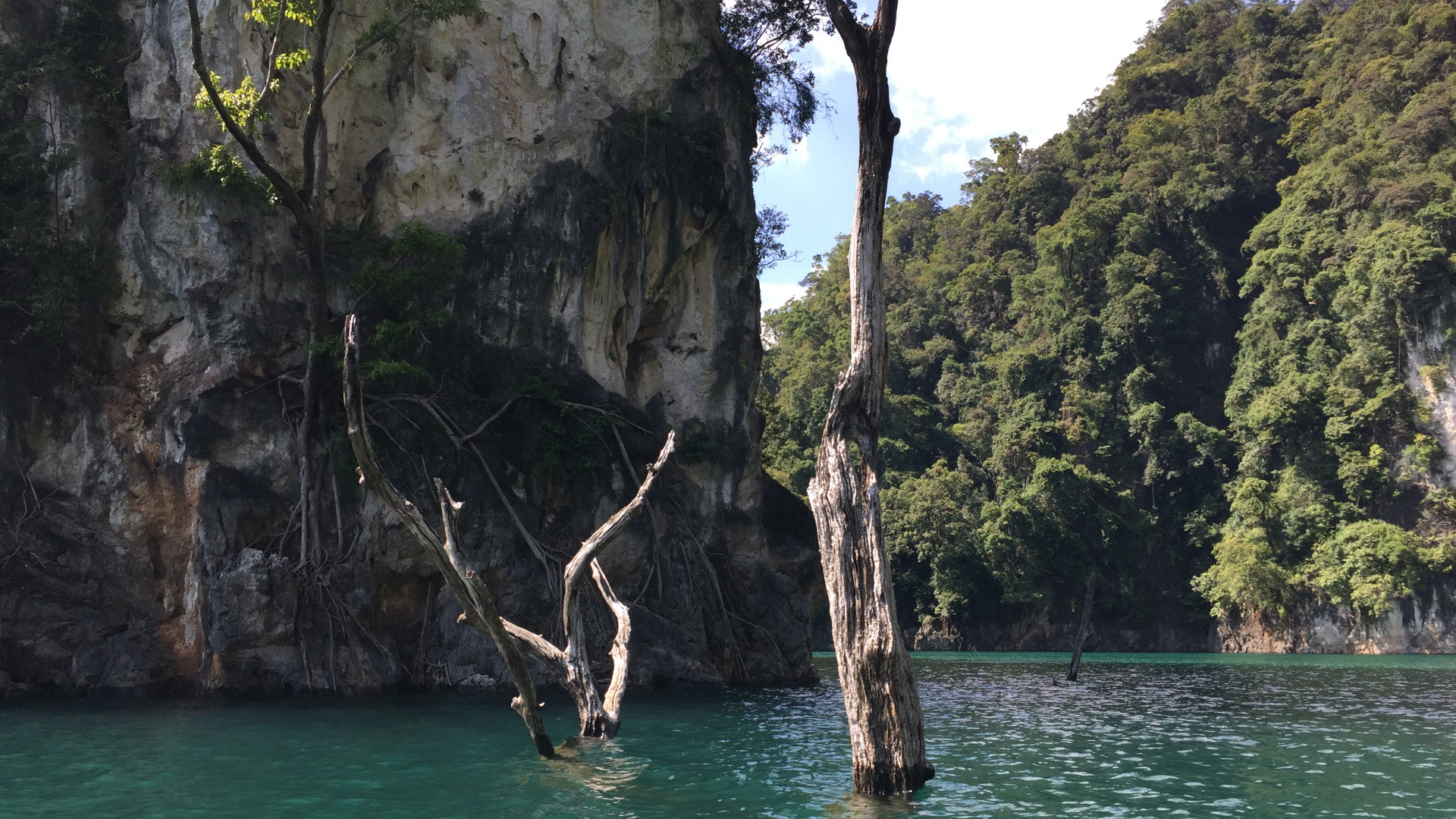 自然保护区, 自然景观, 地形, 水道, 形成 壁纸 1920x1080 允许