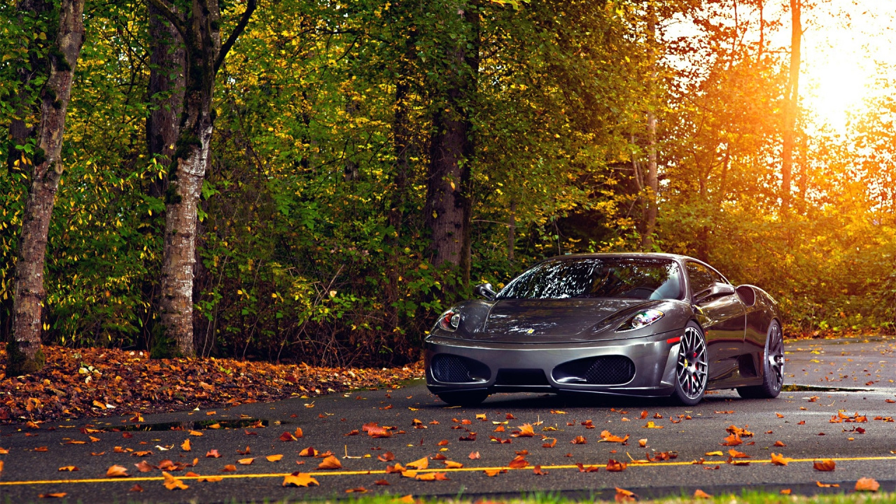 Black Porsche 911 Parked on Forest During Daytime. Wallpaper in 1280x720 Resolution