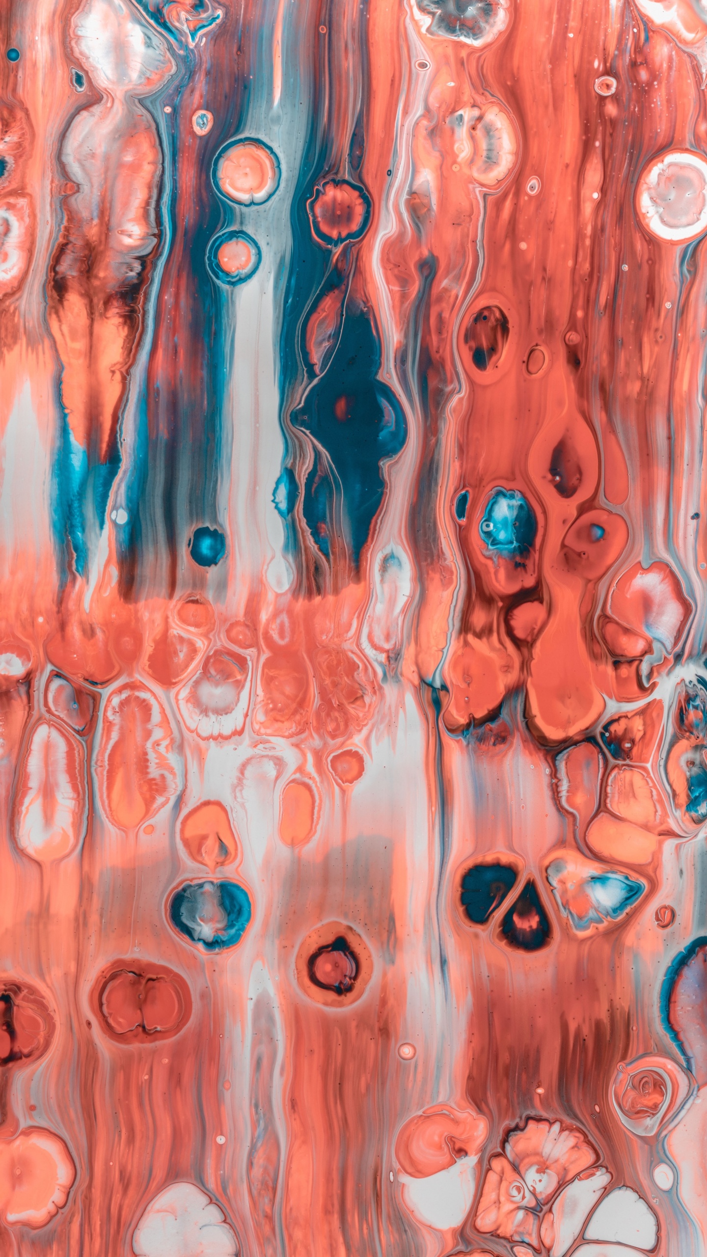 丙烯酸涂料, 艺术, 现代艺术, 橙色, 视觉艺术 壁纸 1440x2560 允许