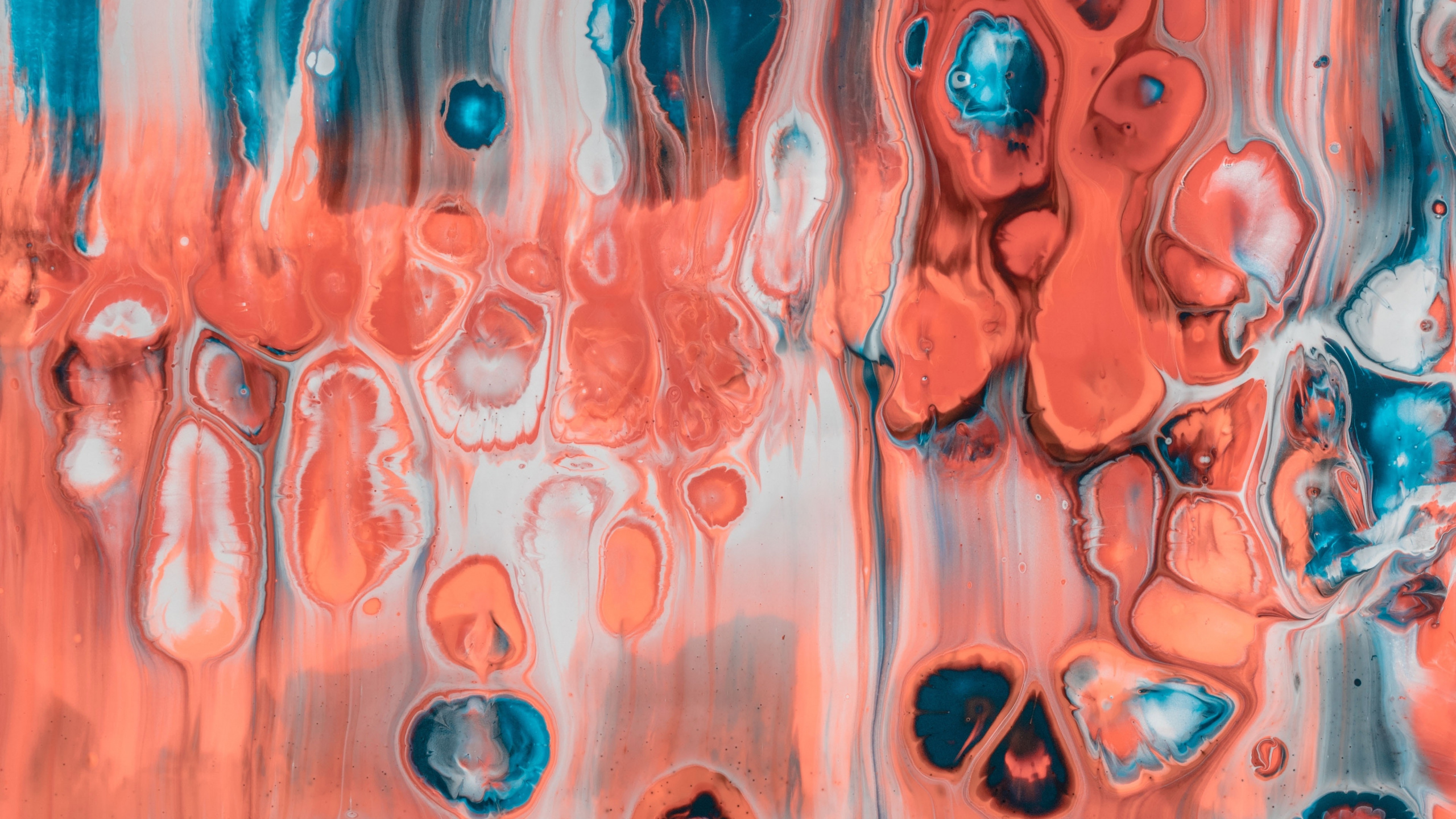 丙烯酸涂料, 艺术, 现代艺术, 橙色, 视觉艺术 壁纸 2560x1440 允许