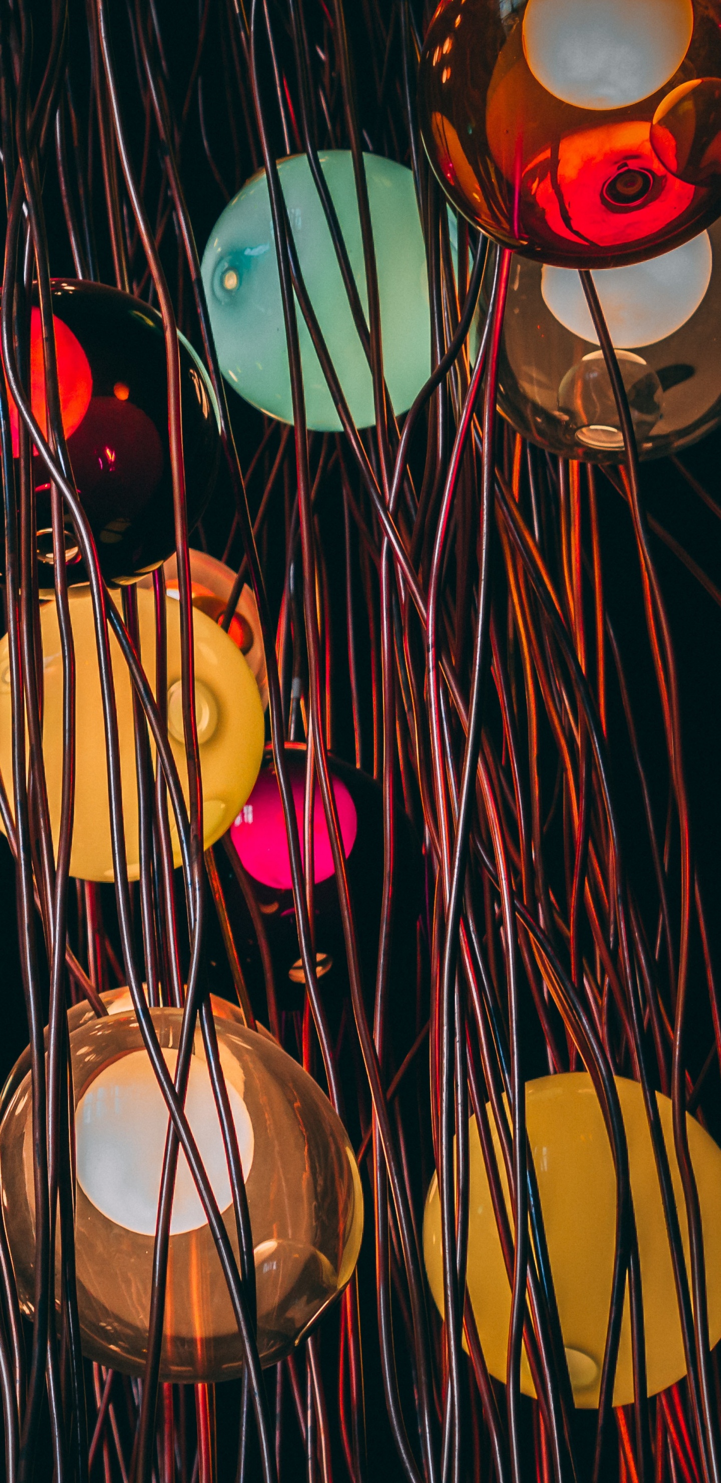 电光, 灯罩, 光, 室内设计, 圆圈 壁纸 1440x2960 允许