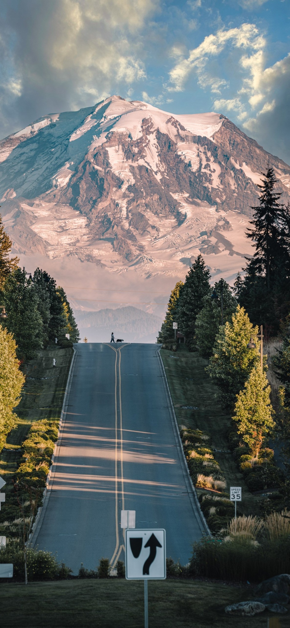 Mount Rainier From Tehaleh, Cascadia, Mount Rainier, Bonney Lake, Tolmie Peak. Wallpaper in 1125x2436 Resolution