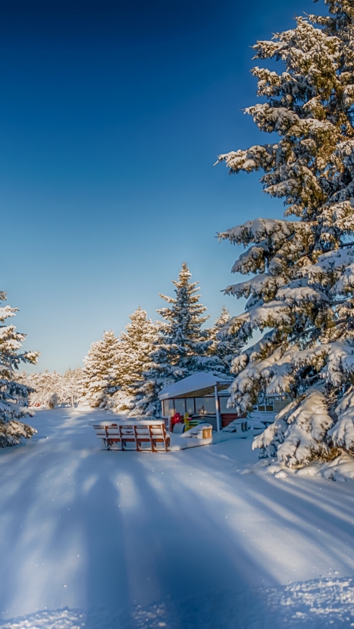 Braunes Holzhaus, Umgeben Von Bäumen, Die Tagsüber Mit Schnee Bedeckt Sind. Wallpaper in 720x1280 Resolution