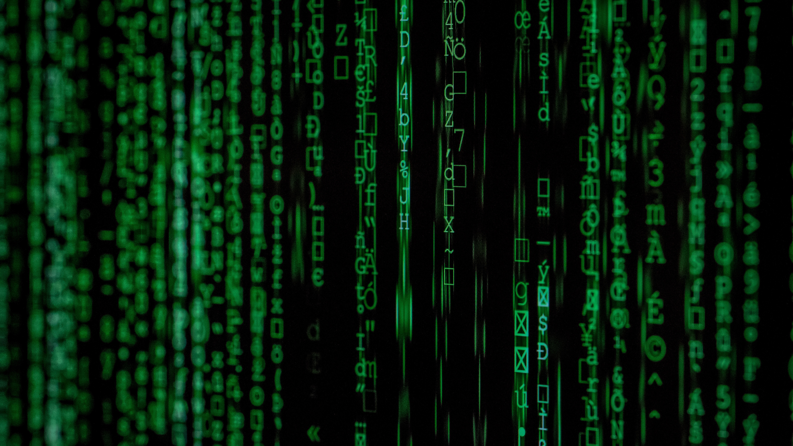 Text. Wallpaper in 2560x1440 Resolution