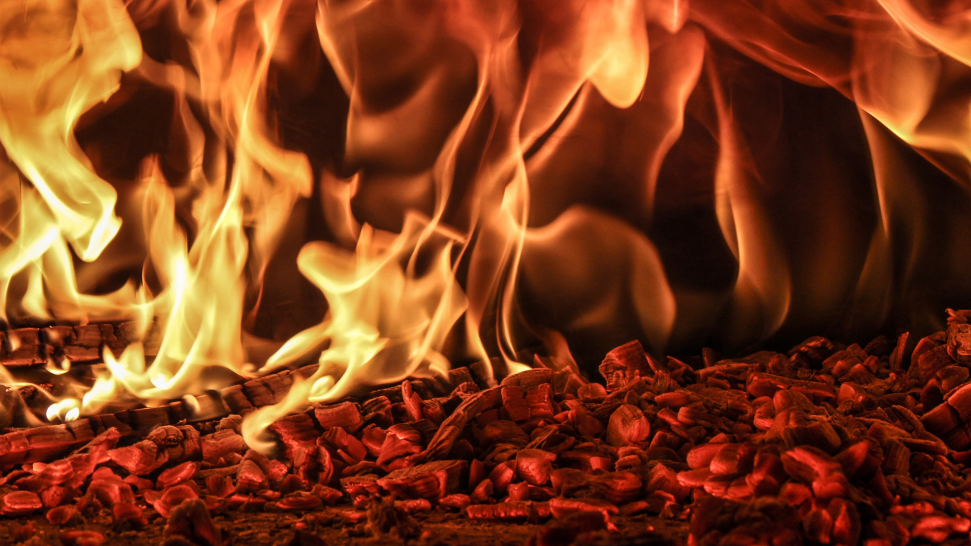 Burning Firewood on Brown Soil. Wallpaper in 1366x768 Resolution