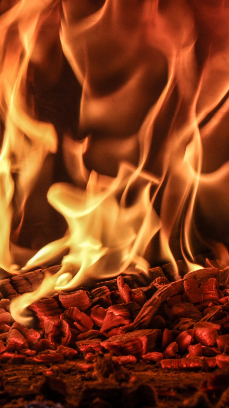 Burning Firewood on Brown Soil. Wallpaper in 750x1334 Resolution