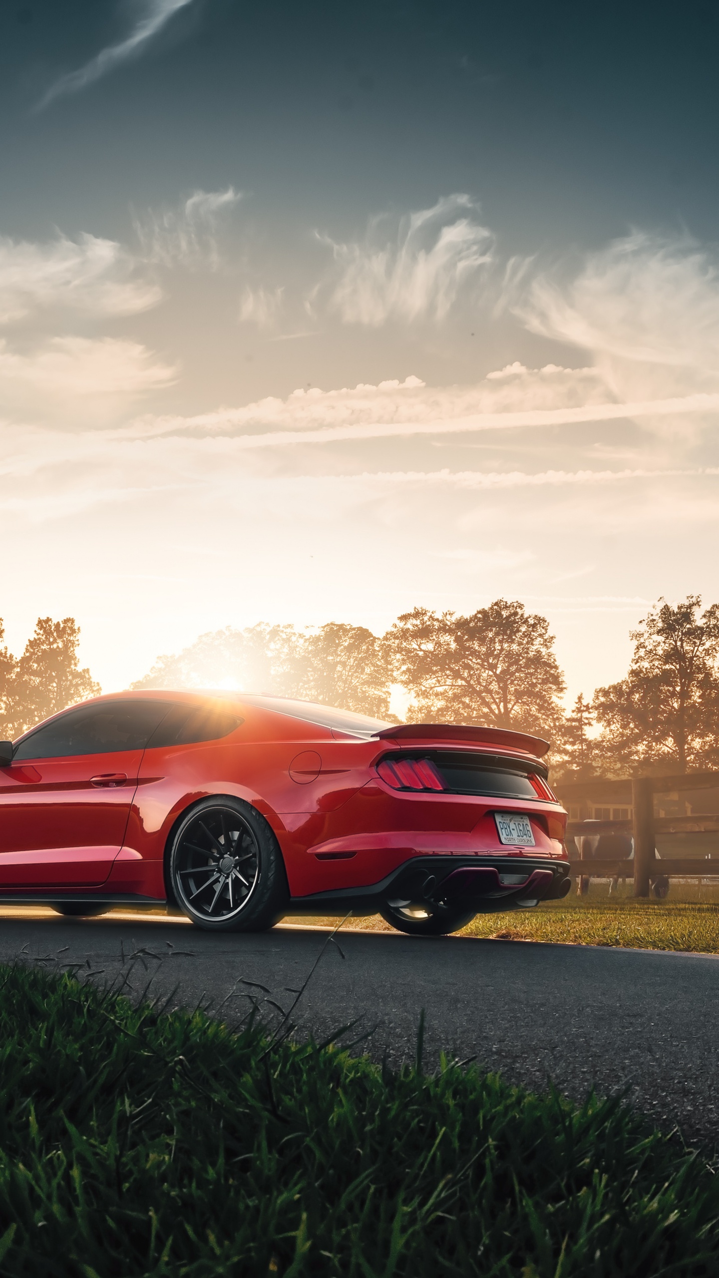 Red Chevrolet Camaro on Road During Sunset. Wallpaper in 1440x2560 Resolution