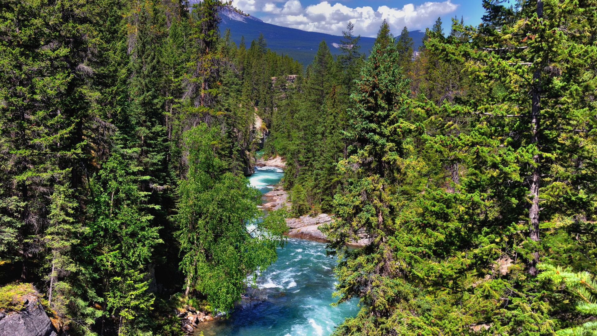 Green Trees Near River Under Blue Sky During Daytime. Wallpaper in 1920x1080 Resolution