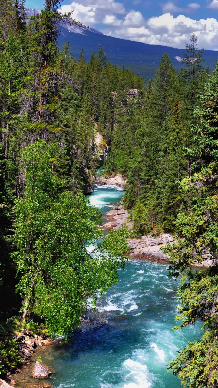 Green Trees Near River Under Blue Sky During Daytime. Wallpaper in 720x1280 Resolution