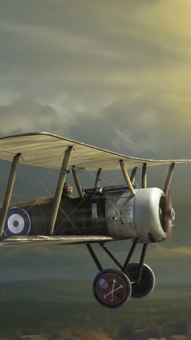 航空, 双翼, 航班, 螺旋桨, 军用飞机 壁纸 750x1334 允许