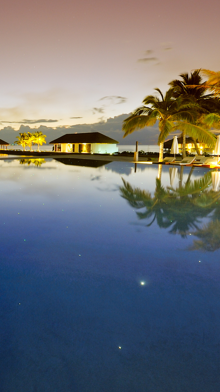 Body of Water Near Trees During Night Time. Wallpaper in 750x1334 Resolution