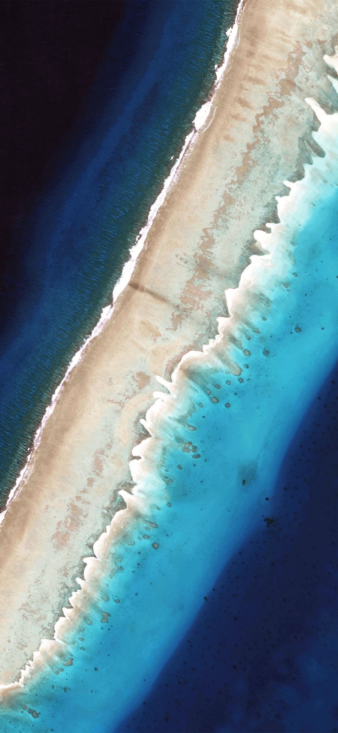 Android, Android Oreo, Turrón Androide, Moto G, Kitkat Androide. Wallpaper in 1125x2436 Resolution