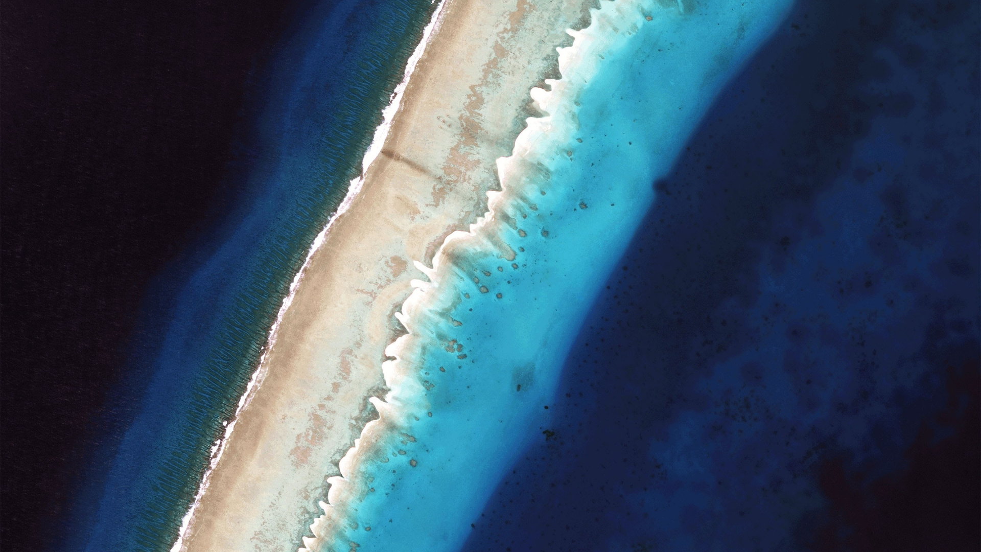 Android, Android Oreo, Turrón Androide, Moto G, Kitkat Androide. Wallpaper in 1920x1080 Resolution