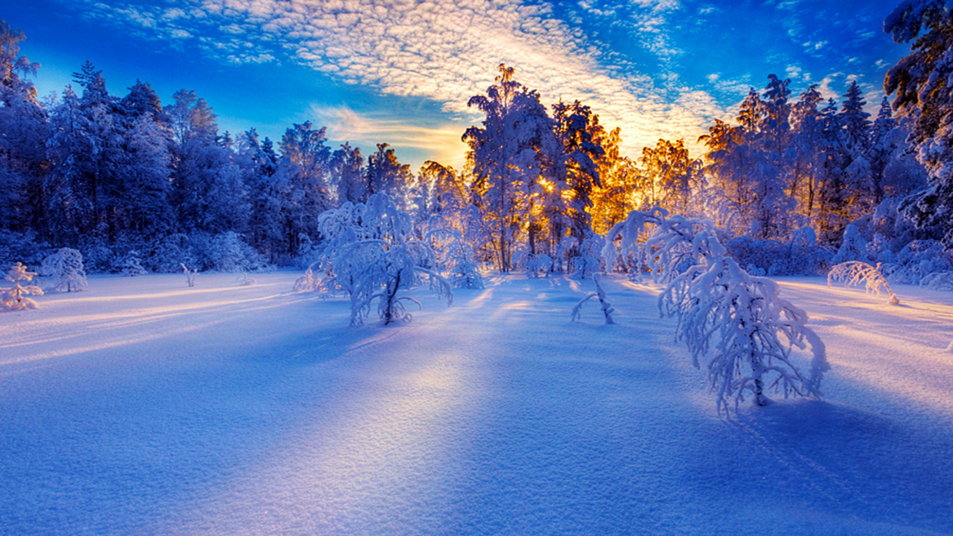 Arbres Couverts de Neige et Route Pendant la Journée. Wallpaper in 1366x768 Resolution