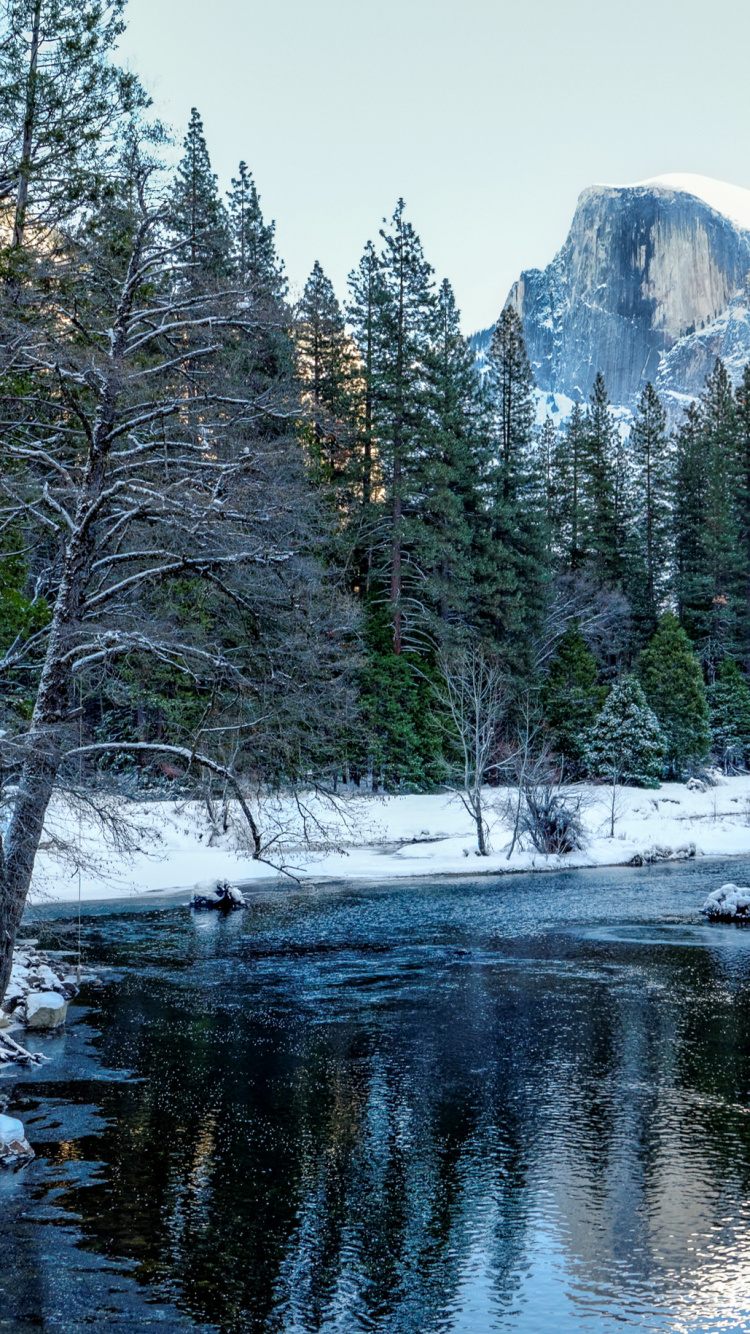 Arbres et Montagnes Couverts de Neige Pendant la Journée. Wallpaper in 750x1334 Resolution