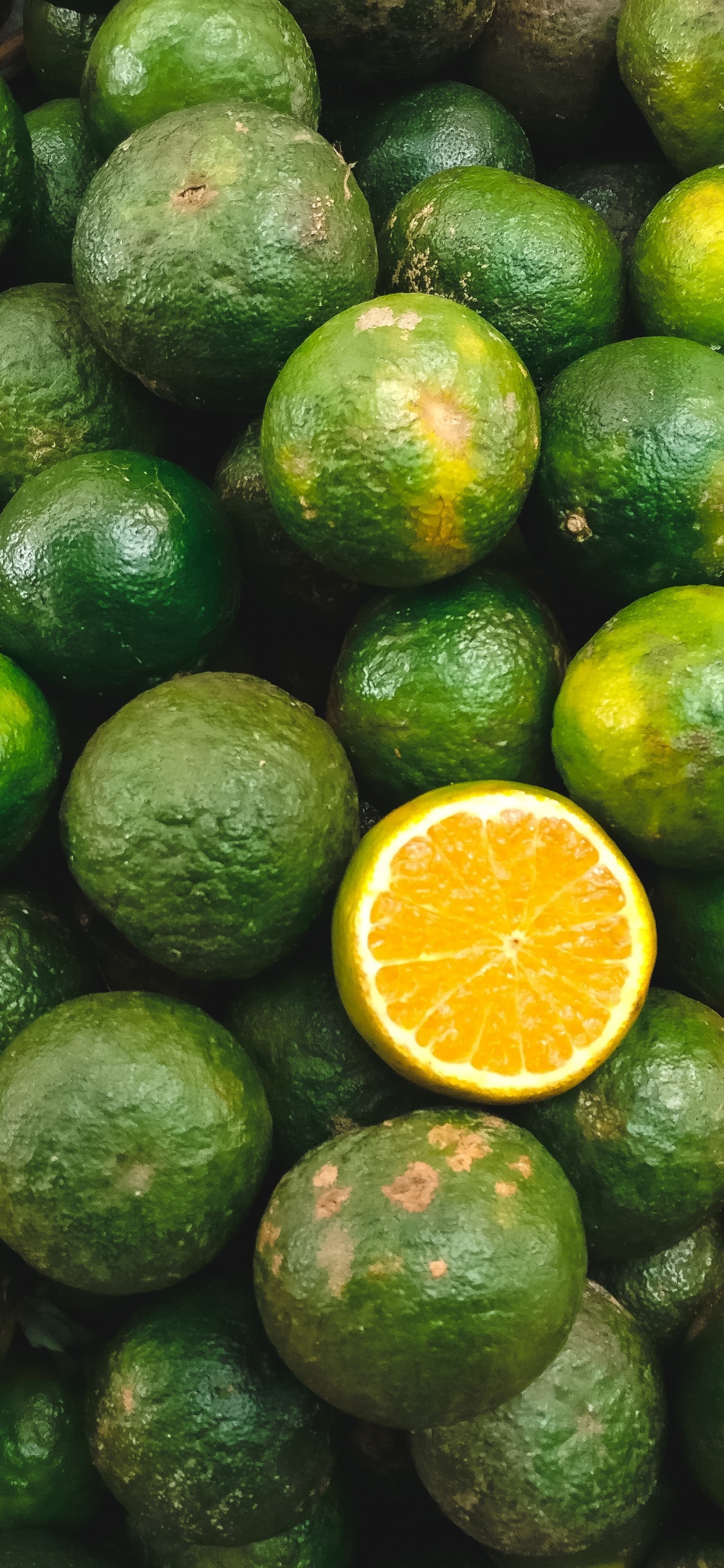 Sliced Lemon Fruit on Green Round Fruit. Wallpaper in 1125x2436 Resolution