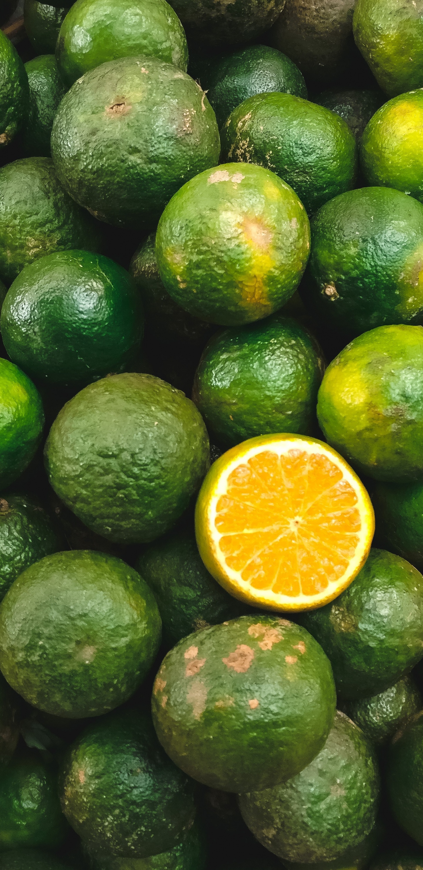 Sliced Lemon Fruit on Green Round Fruit. Wallpaper in 1440x2960 Resolution