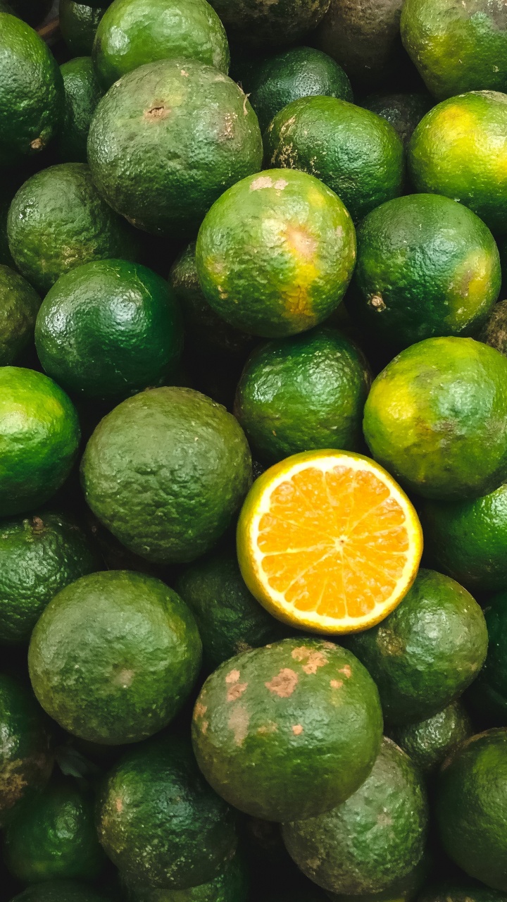 Fruta de Limón en Rodajas de Fruta Redonda Verde. Wallpaper in 720x1280 Resolution