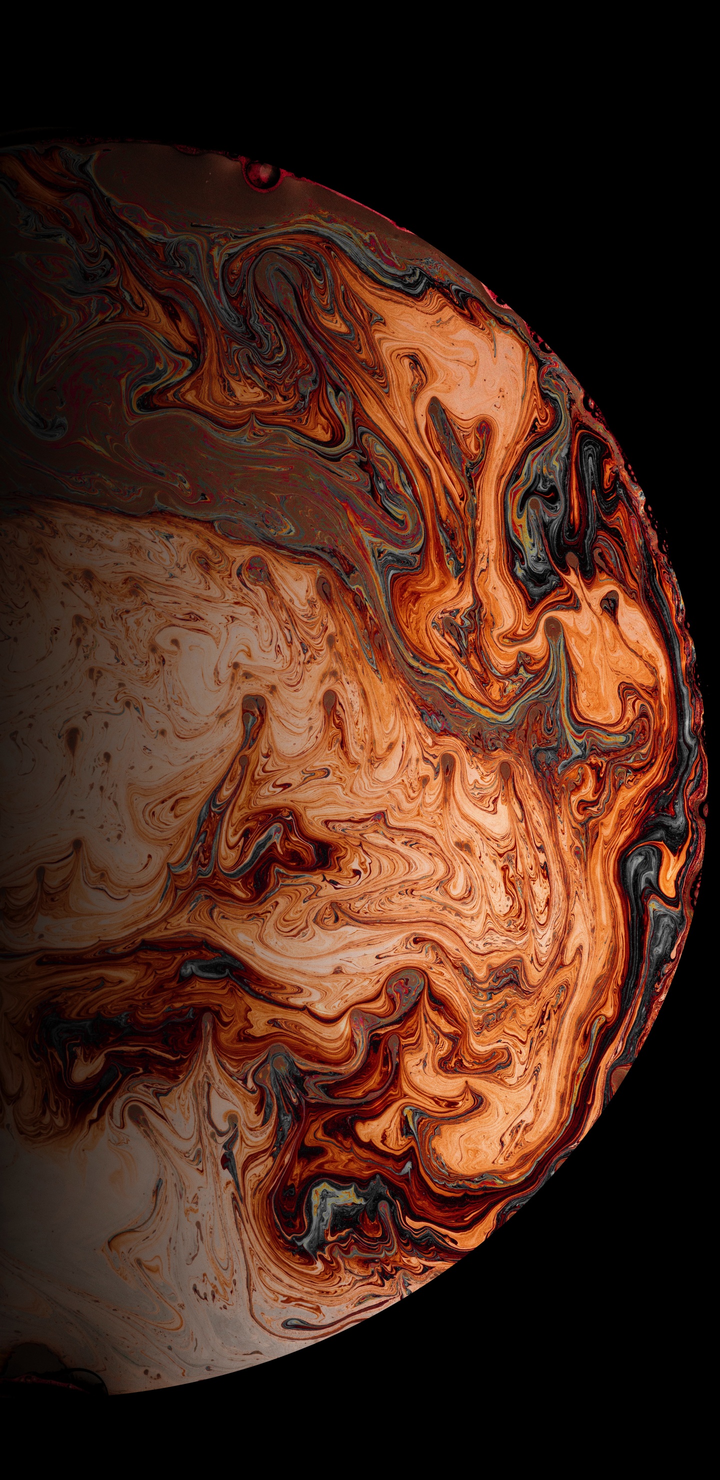 琥珀色, 木, 天文学对象, 艺术, 热 壁纸 1440x2960 允许