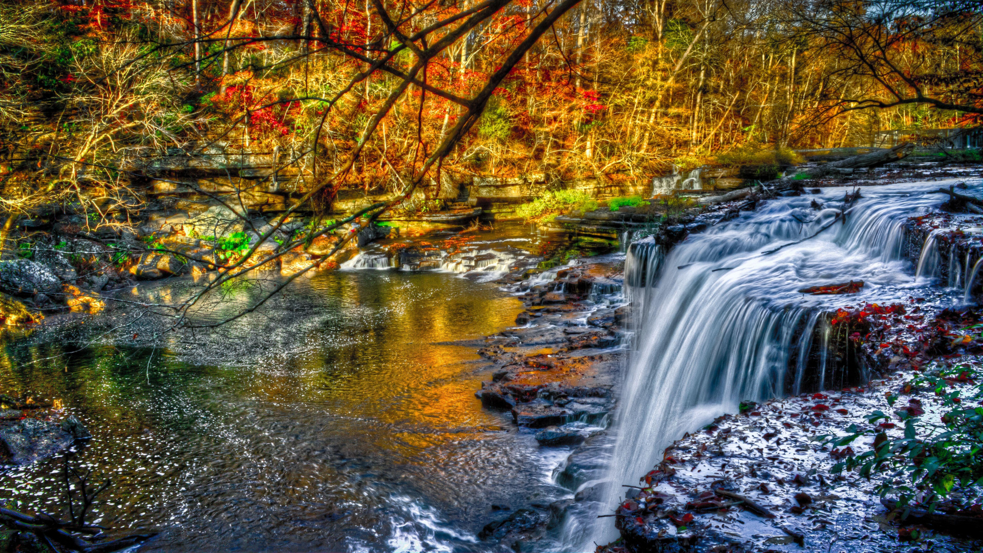 L'eau Tombe au Milieu de la Forêt. Wallpaper in 1920x1080 Resolution